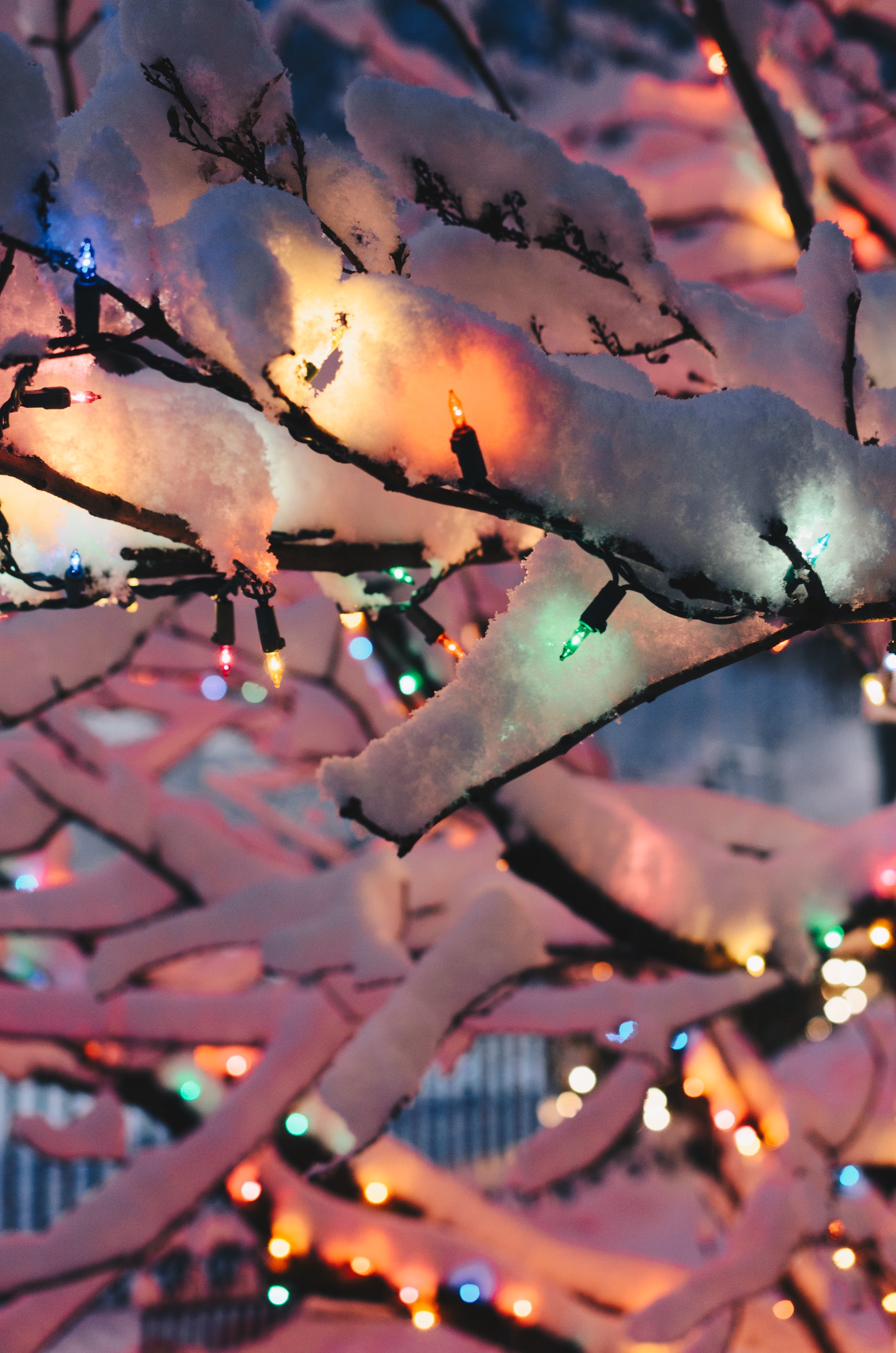 Winter Party 2022